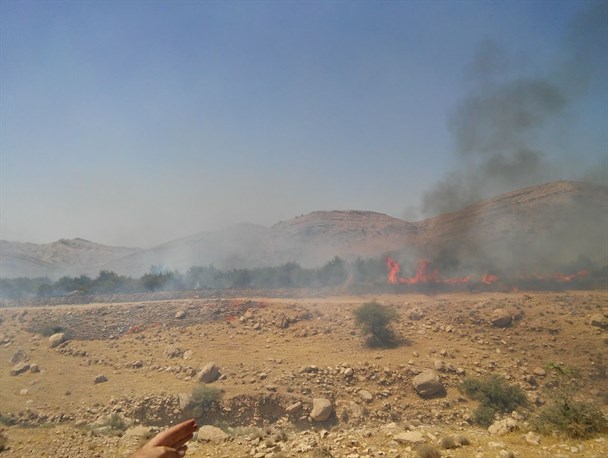 آتش‌سوزی در باغ شمس‌آباد  شهرستان چرام+تصاویر