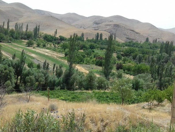 خنکای طبیعت فراهان در گرمای شهریورماه+عکس
