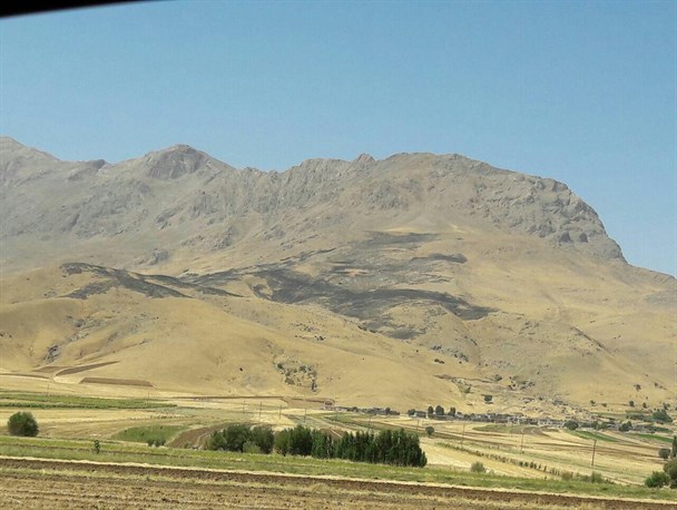 حدود 20 هکتار از مراتع شهرستان سنقر و کلیایی طعمه حریق شد+ تصاویر