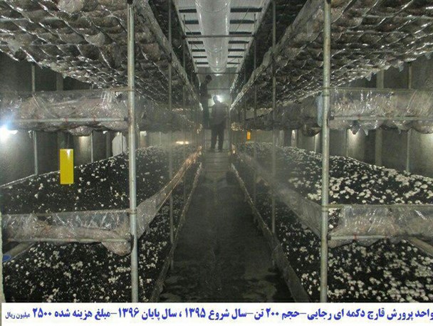 بهره برداری از 18 طرح کشاورزی در سرایان