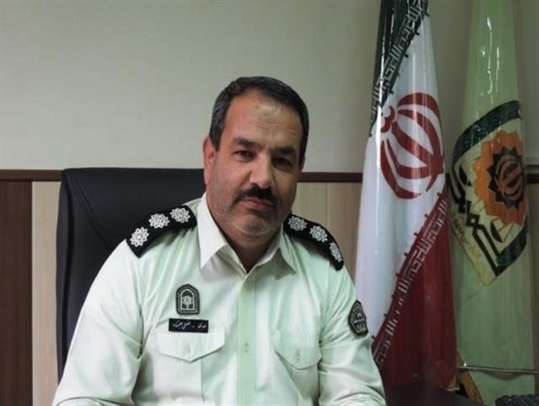 دستگیری 59 سارق در طرح پاکسازی ساوجبلاغ/ 13 واحد صنفی متخلف پلمب شد