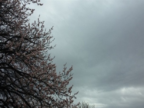 وزرش باد شدید و طوفان گرد و خاک در ۵ استان/ پیش بینی آسمانی صاف برای اغلب مناطق در پنج روز آینده