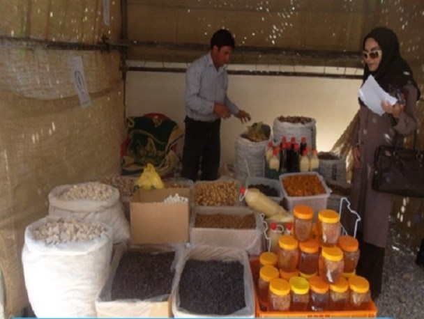 برپایی نمایشگاه تولیدات طرح های اقتصاد مقاومتی در سپیدان + عکس