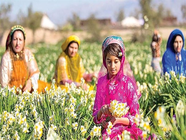 کارآفرینی روستایی راه حلی برای جلوگیری از مهاجرت به شهر/ توان گردشگری کشاورزی در رونق اقتصادی روستا‌ها