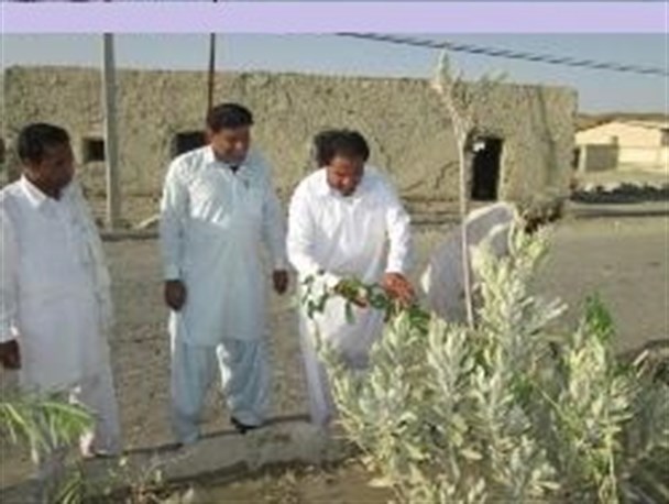 طرح ایجاد فضای سبز در بخش ساربوک نیکشهر آغاز شد