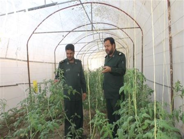 احداث گلخانه در سپاه حاجی آباد