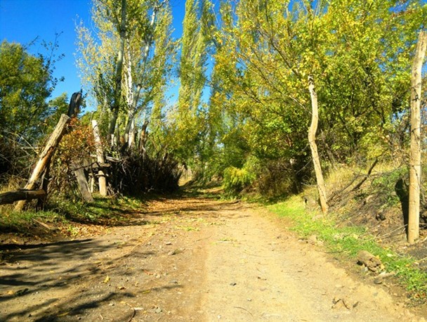 طبیعت زیبای پاییزی نیر