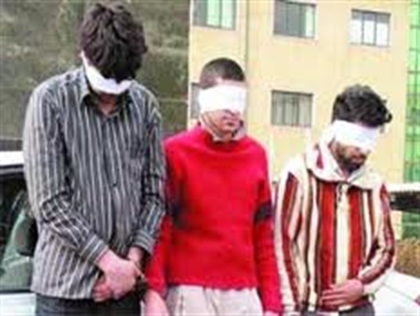 عاملان سرقت وکلاهبرداری در خواف دستگیر شدند
