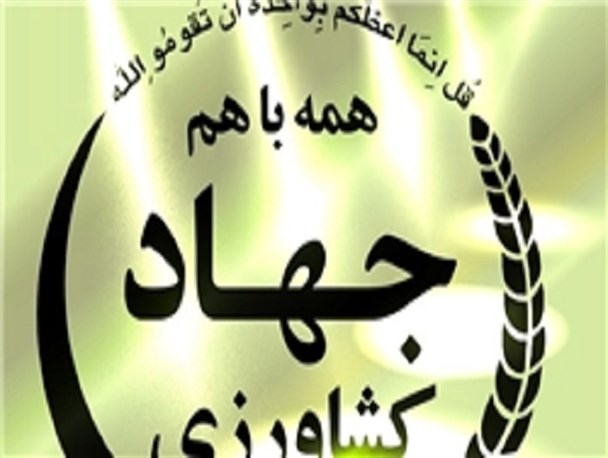 تولید یک سوم تولید غله استان در گرو باز شدن آب زاینده رود است