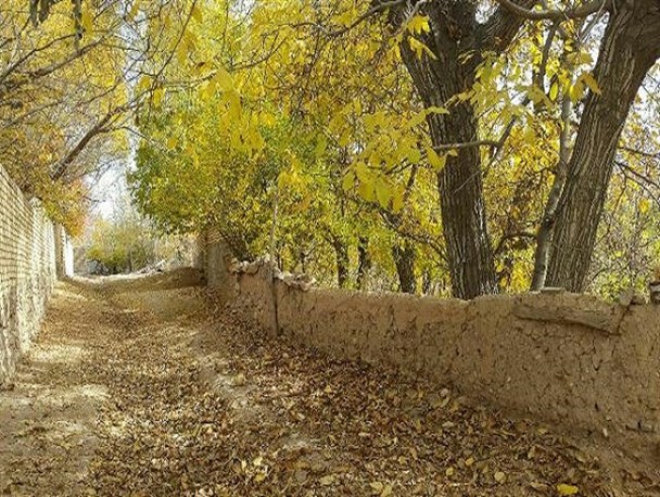 جلوه‌های رنگارنگ پائیز در شهر مشاهیر ایران