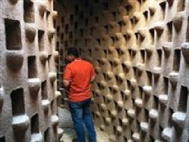 اشتغالزایی اصفهانی ها با پر کشیدن کبوترها