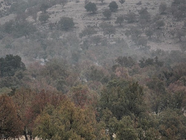 خانه تکانی بارانی خومه زار
