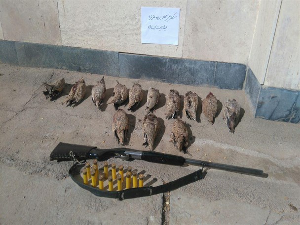 دستگیری 2 شکارچی غیر مجاز در بجستان