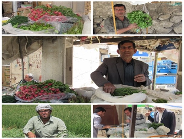 بازار سبزی فروشان شهرستان لنده+تصاویر