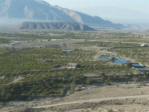 وعده مسئولان به کشاورزان روستای «سغ» 8 ساله شد/دهستان سیاهو بندرعباس بدون نارنگی بیابانی بیش نیست+تصاویر