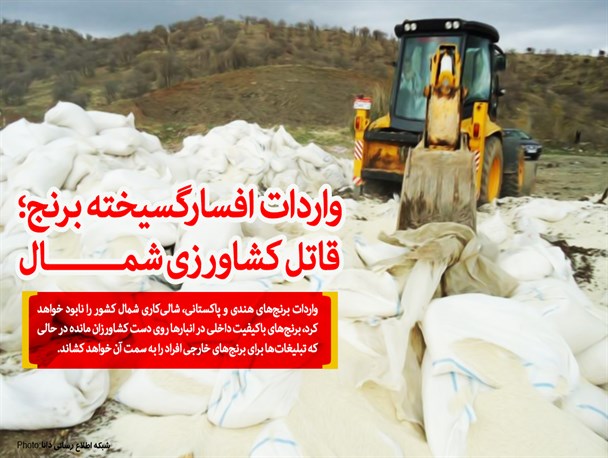فتونیوز/واردات افسارگسیخته برنج