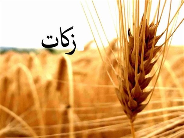 زکات فقر را در جامعه ریشه کن می کند/ لزوم اجرای طرح "زکات یاوران" در مدارس البرز