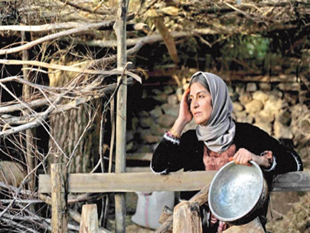 حضور عوامل شیار ۱۴۳ در کرمان