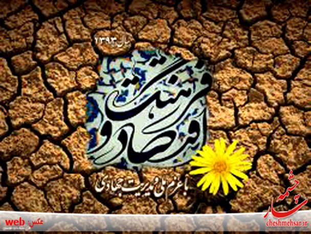 در سال فرهنگ خبری از بودجه فرهنگی نبود