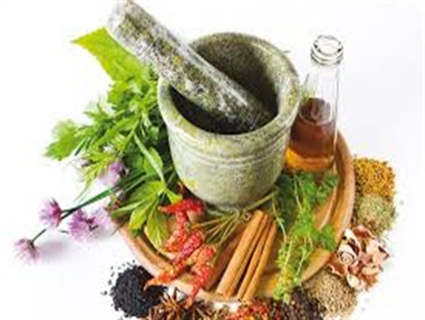 گیاهان دارویی ظرفیتی عظیم برای اشتغال در بیجار