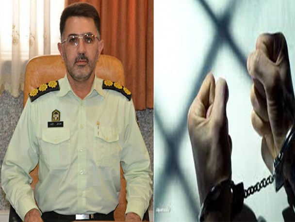 کشف 14 مورد سرقت در هرسین