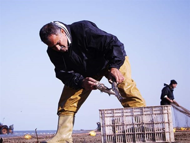 صید ماهی استخوانی در دریای مازندران