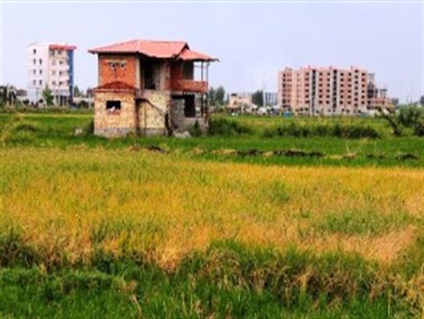 ۱۷ هزار هکتار باغ و شالیزار شمال تغییر کاربری شد
