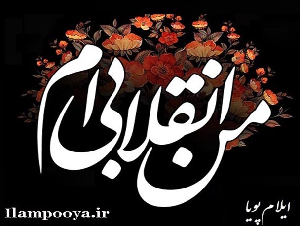 کمپین "من انقلابی ام"