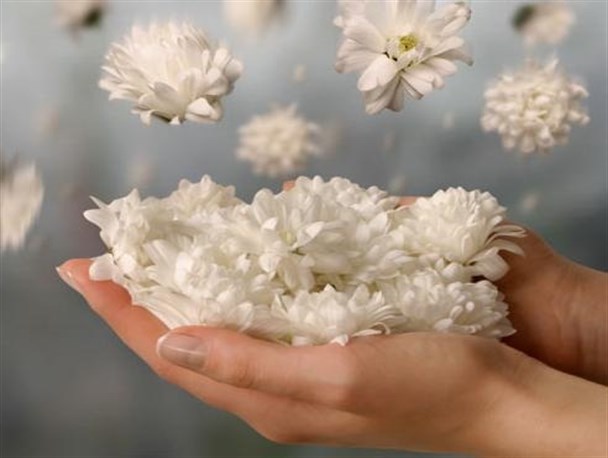 خونه ای که توش پر فرشته باشه میشه خود بهشت...