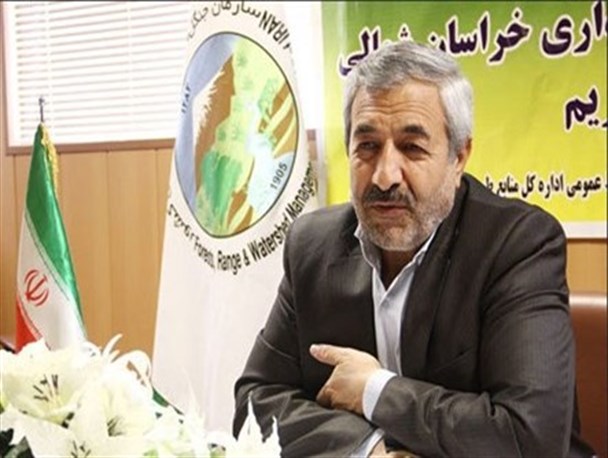 قول سازمان ملل متحد بر اعطای اعتبارات به صندوق های پس انداز خرد