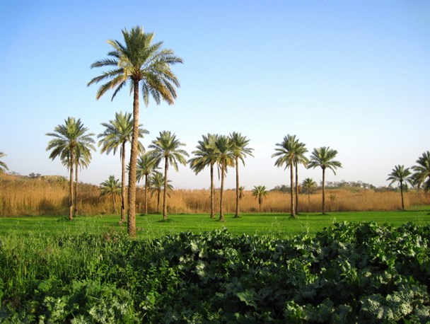 بهار کُردی فرا رسید