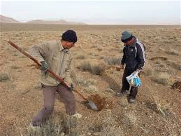احیا 21هکتار از مراتع روستایی تاکستان