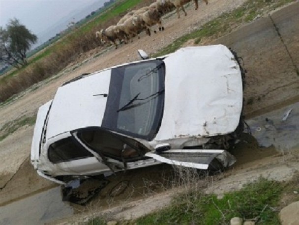 عکس/شیرجه سمند در کانال آب