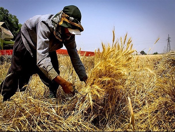 طرح ضربتی دولت برای اشتغالزایی روستائیان در وقت اضافه