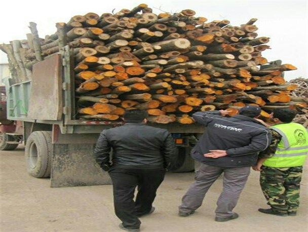 کشف ۲ محموله چوب قاچاق در لشت نشاء