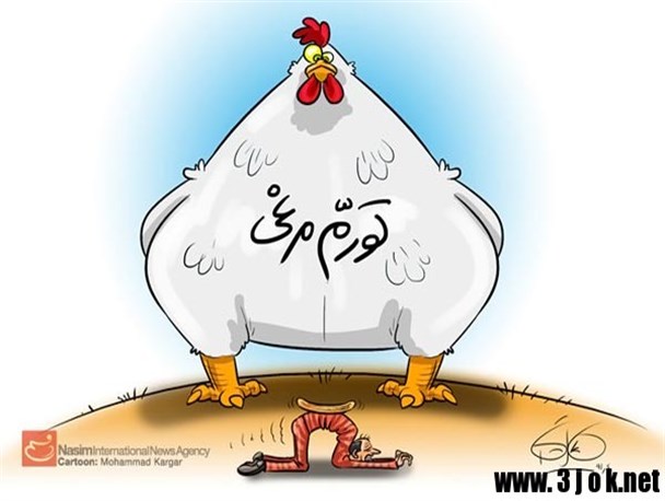 قیمت مرغ رکورد دار گرانی ها شد