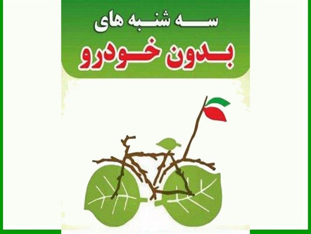 ولنگاری فرهنگی در پوشش فعالیت محیطزیستی
