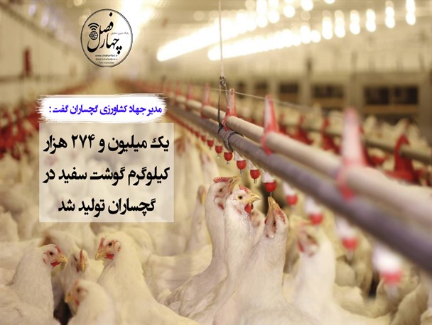 ۹ نفر گم شده در ارتفاعات دنا پیدا شدند / امروز منتظر انتقال پیکرهای جانباختگان سانحه هوایی نباشیم