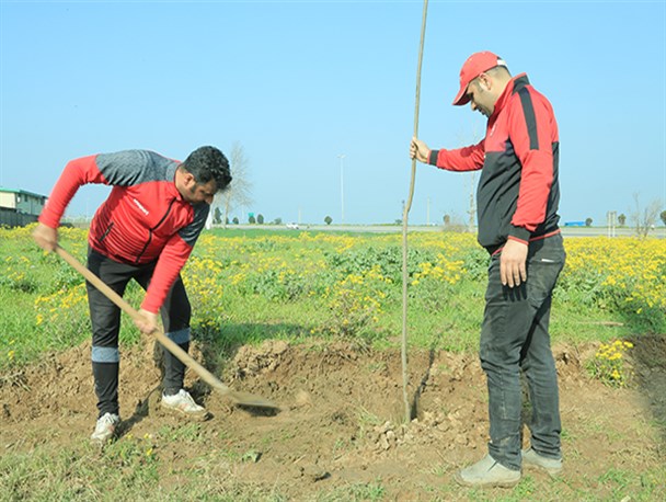 کاشت ۵۰۰ اصله نهال در "مهدیرجه" گلوگاه