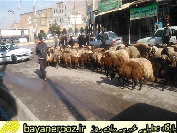 ایل راهی که از مرکز شهر پلدختر می گذرد/مصوباتی که یکی پس از دیگری به ایستگاه اجرایی نمی رسند
