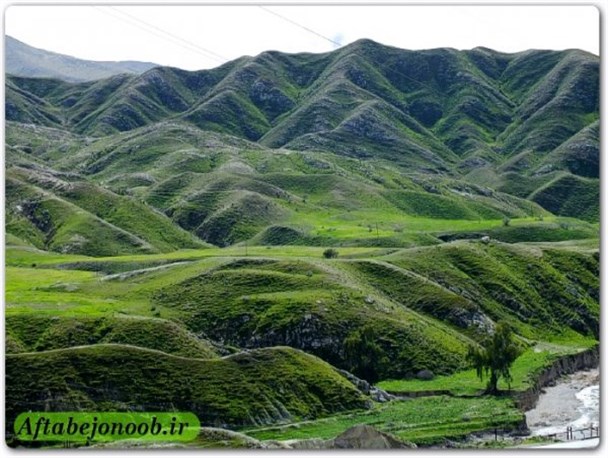 طبیعت بهاری در بام نفتی ایران