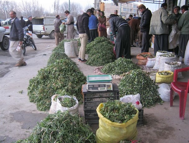 بازار گیاهان خوراکی در بوکان به روایط تصویر