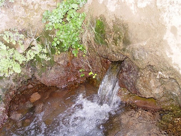 روستایی که عصای حضرت موسی در آن فرود آمد