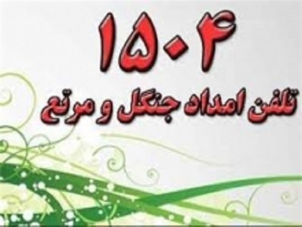 مردم زنجان هرگونه تعرض به منابع طبیعی را به شماره 1540 اطلاع دهند؛آمادگی کامل نیروهای یگان حفاظت از منابع طبیعی در ایام تعطیلات نوروزی