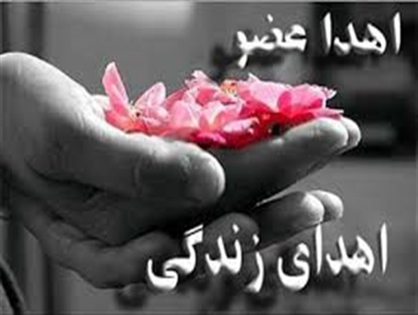 اعضای اولین بیمار مرگ مغزی اردبیلی در سال جدید اهداء شد