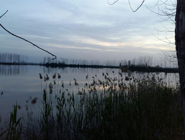 روستای سوته فریدونکنار مکانی مناسب برای گذراندن روز طبیعت /تصاویر