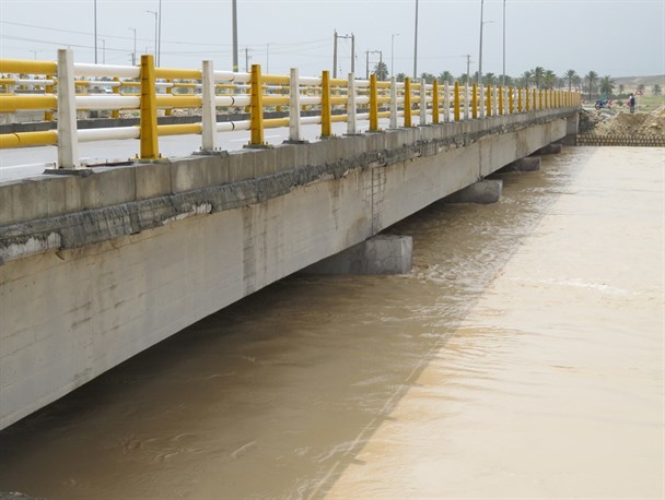 پل بردستان را آب فرا گرفت+ عکس