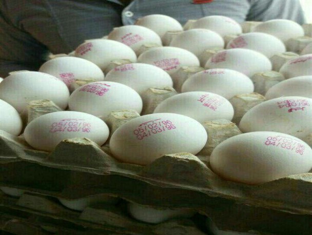 فروش تخم مرغ های تولید اردیبهشت ۹۶ در برخی مغازه ها+عکس