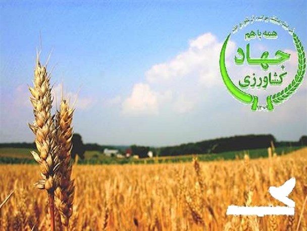 اعطای بیش از 70 میلیارد تومان تسهیلات به واحد‌های تولیدی در زنجان/ استان زنجان در اجرای آبیاریهای نوین جزو هشت استان برتر کشور است