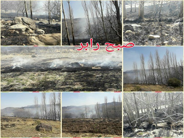 آتش غفلت گردشگران، باز هم درباغات چشمه عروس رابر